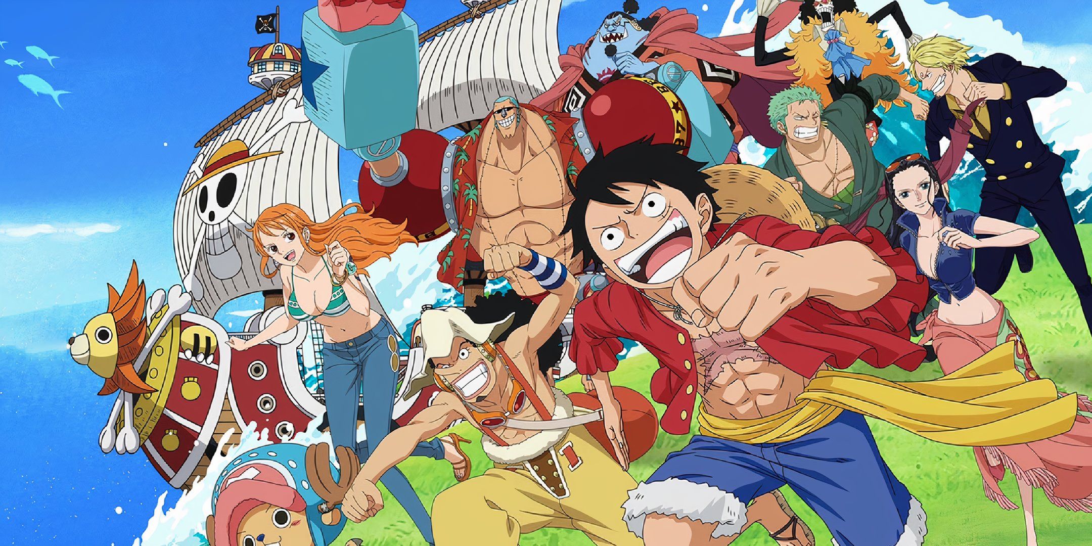 One Piece Will of D Straw Hat Piratese