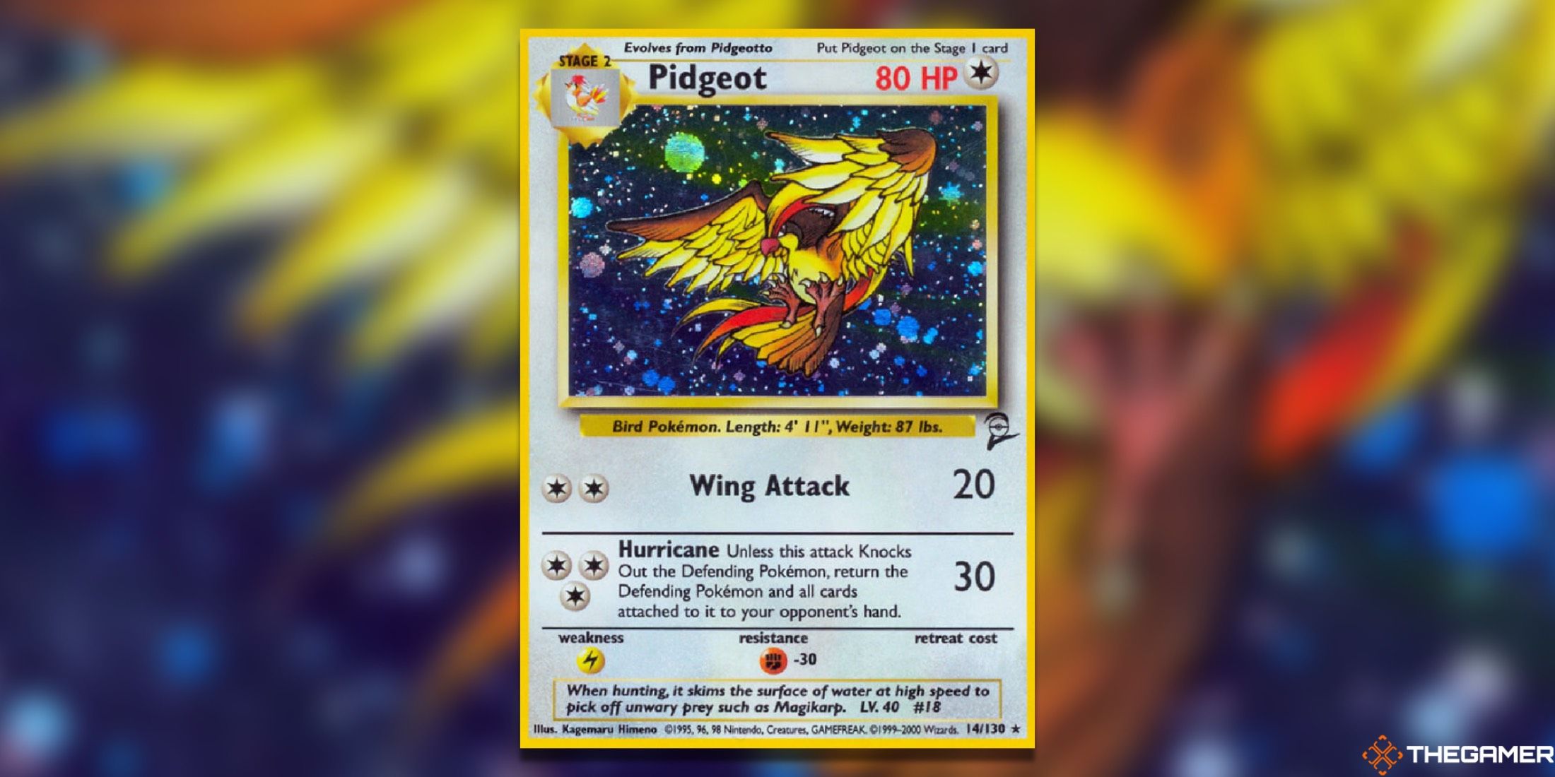 The Pidgeot from Base Set 2 in the Pokemon TCG.