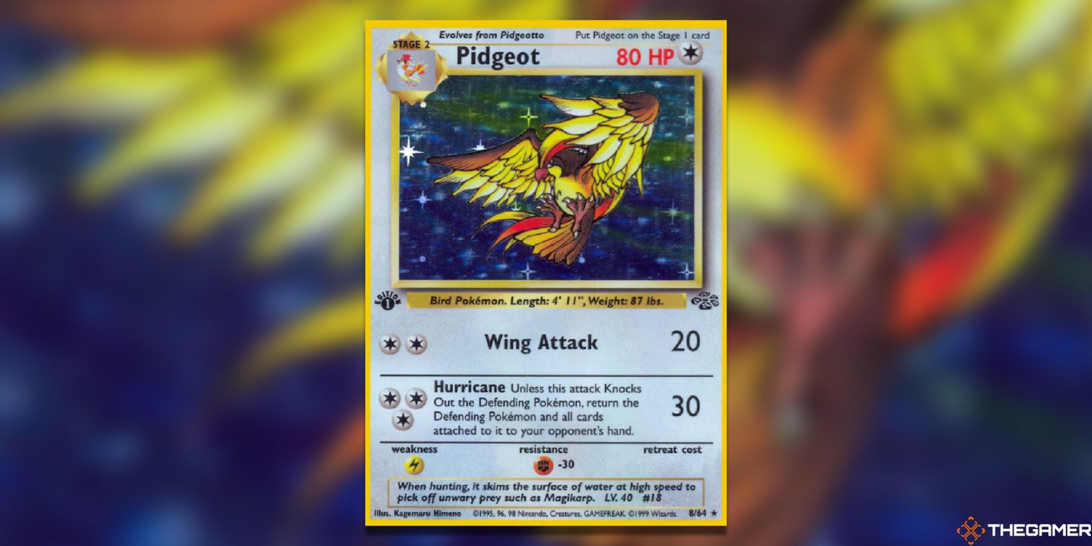 The first-edition Pidgeot from Jungle in the Pokemon TCG.