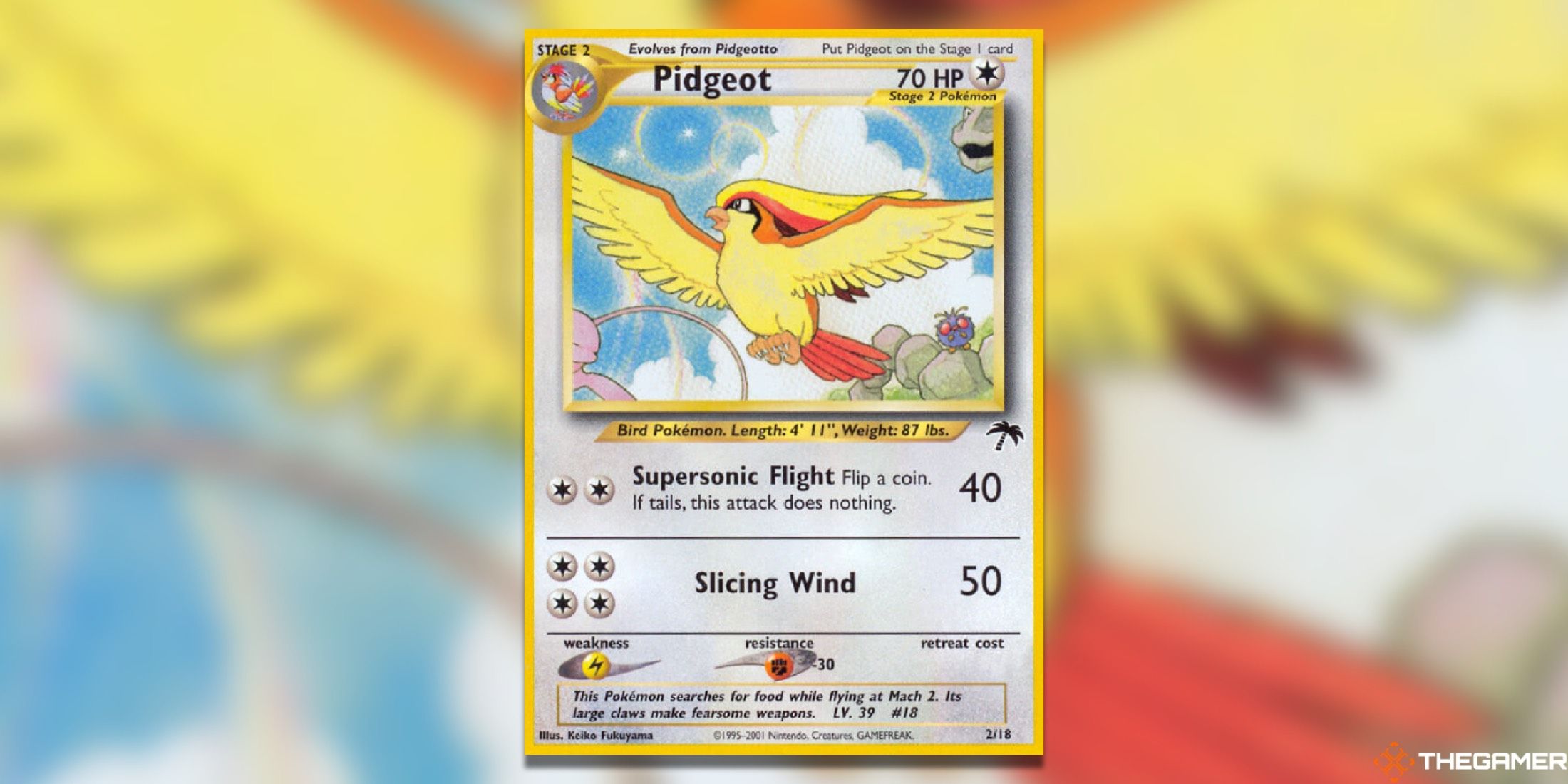 The Pidgeot from Southern Islands in the Pokemon TCG.