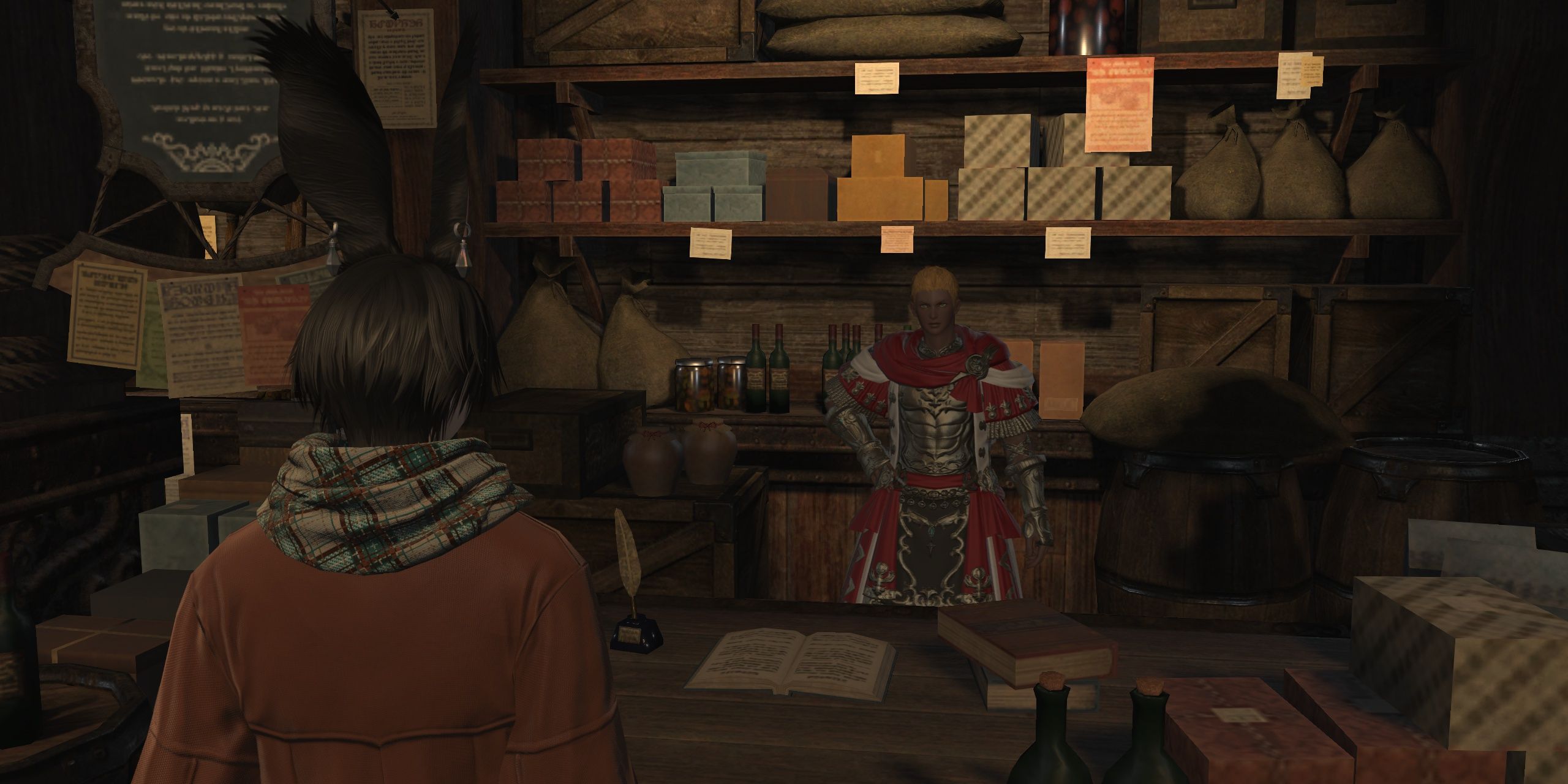The Warrior Of Light talking to the Quartermaster in FF14.