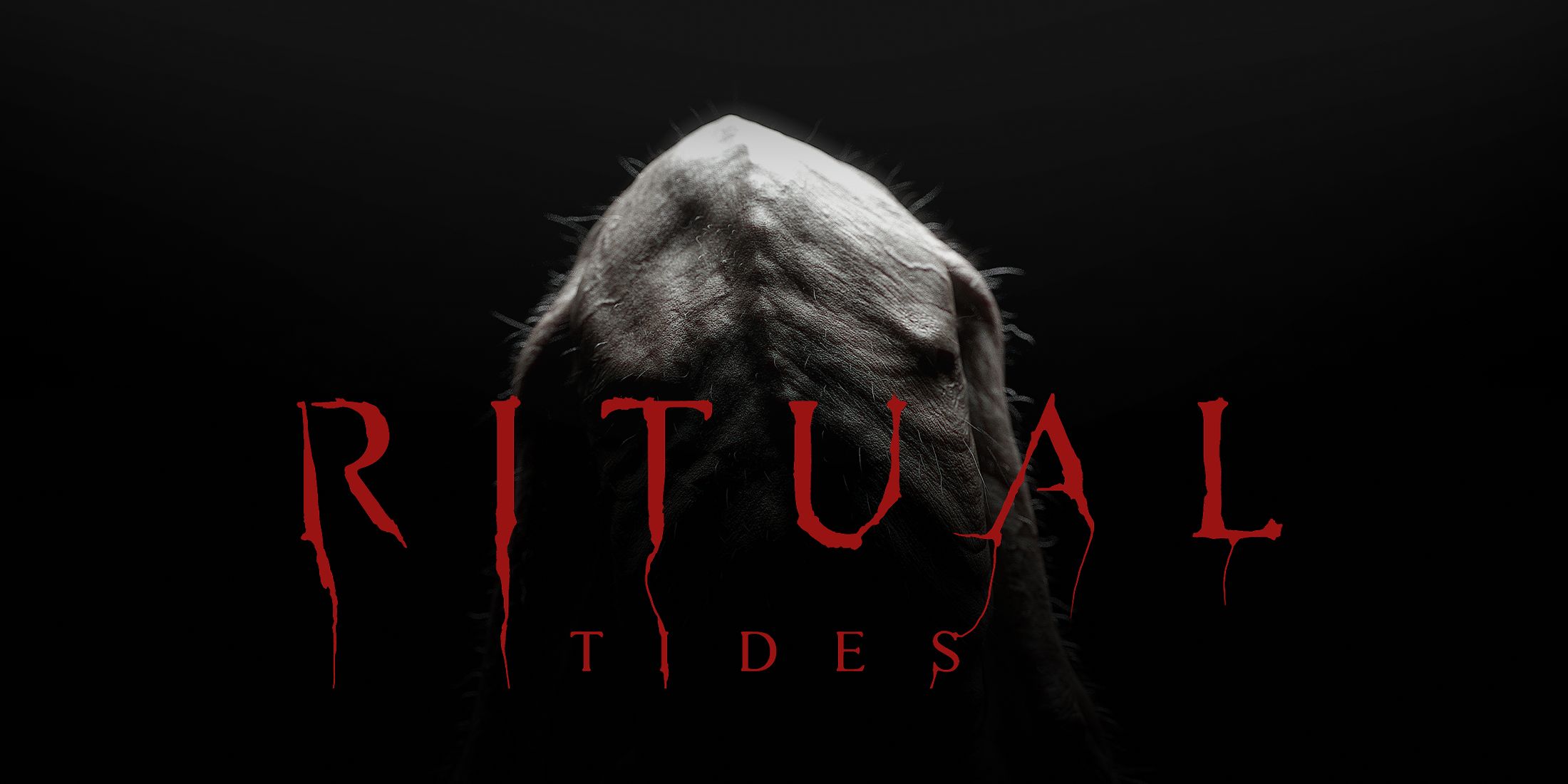 Ritual Tides Interview