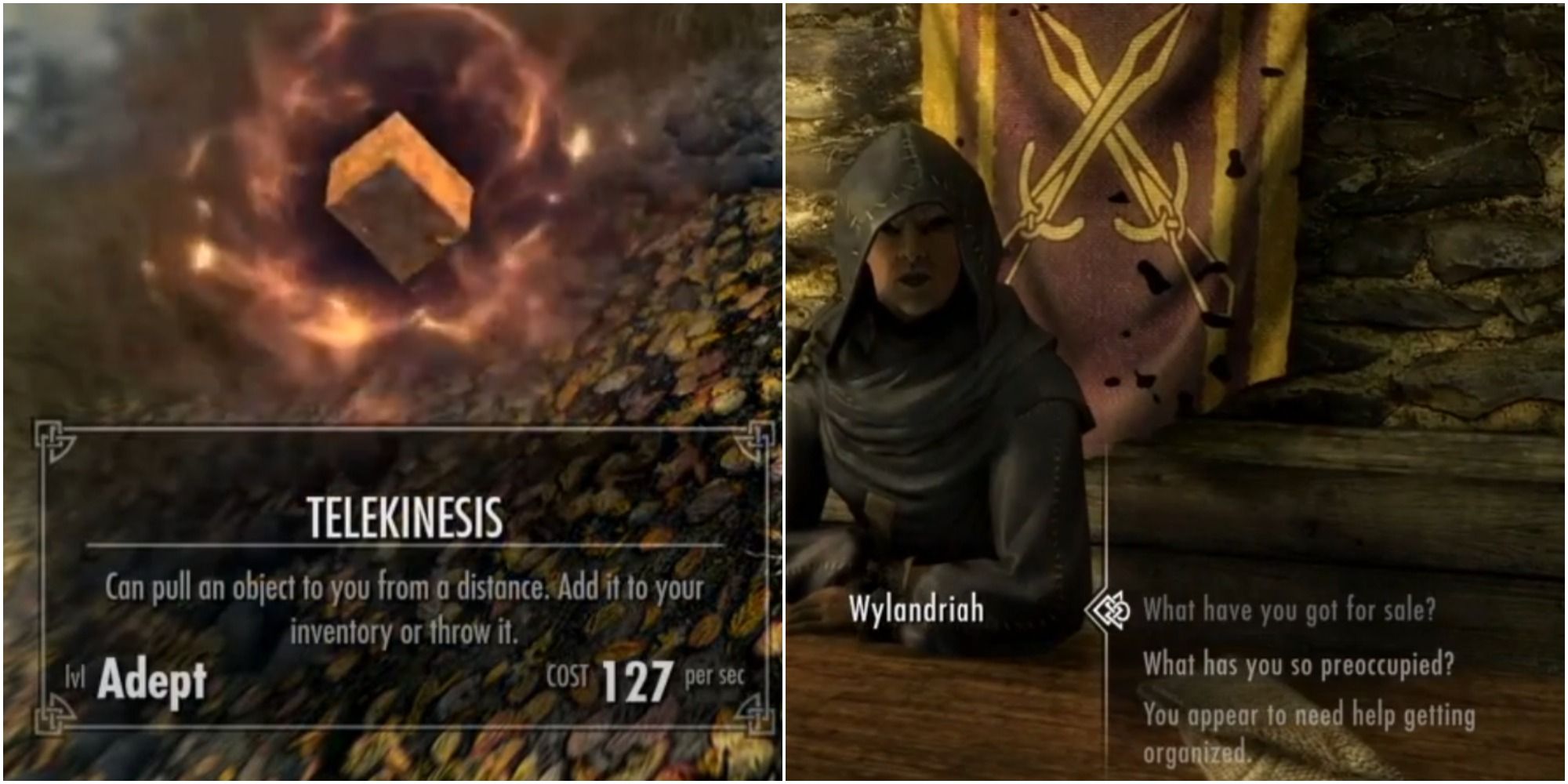 skyrim_telekinesis_and_wylandriah_merchant split image