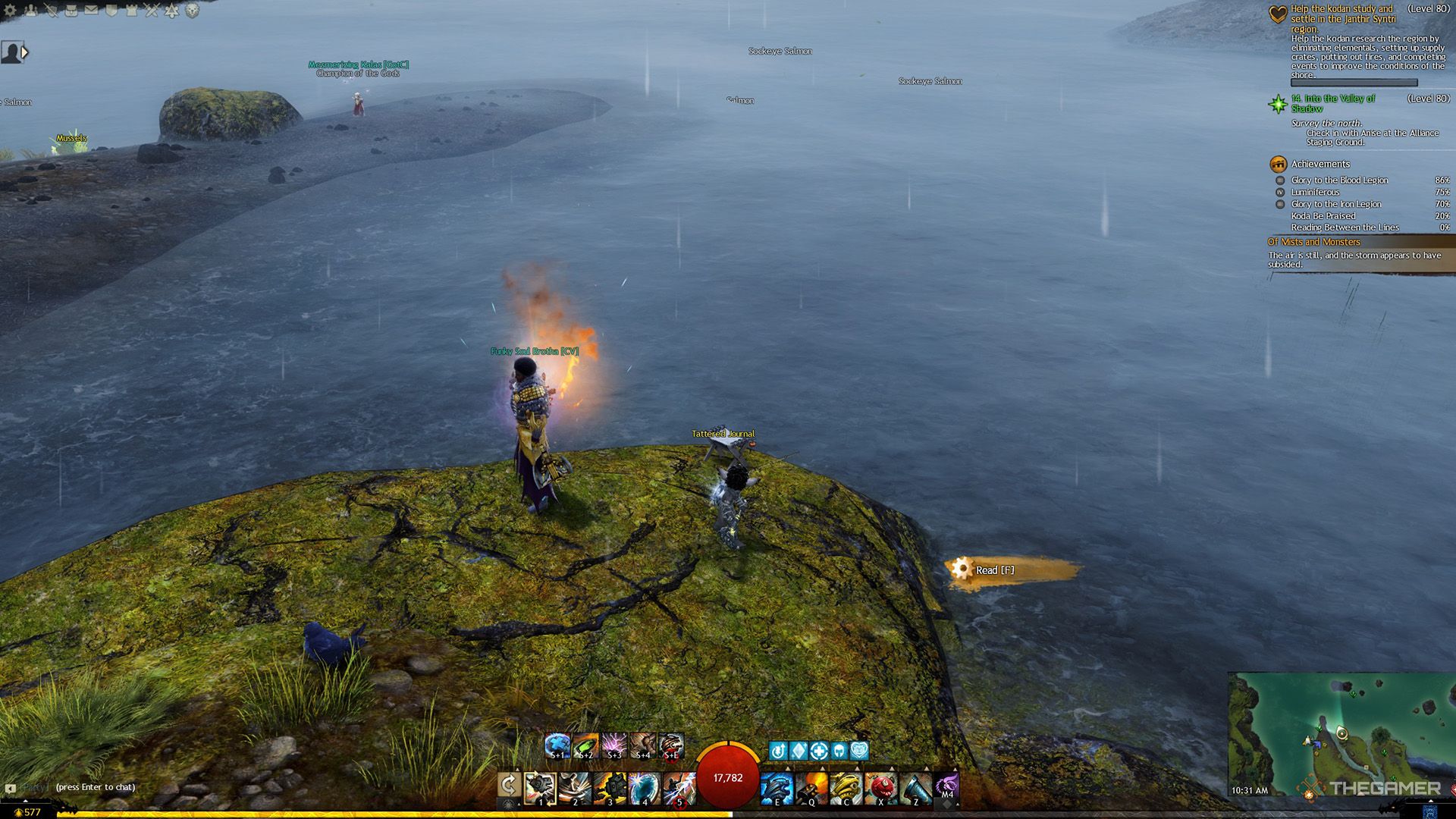 The scenery around the first Tattered Journal on the map in Guild Wars 2.