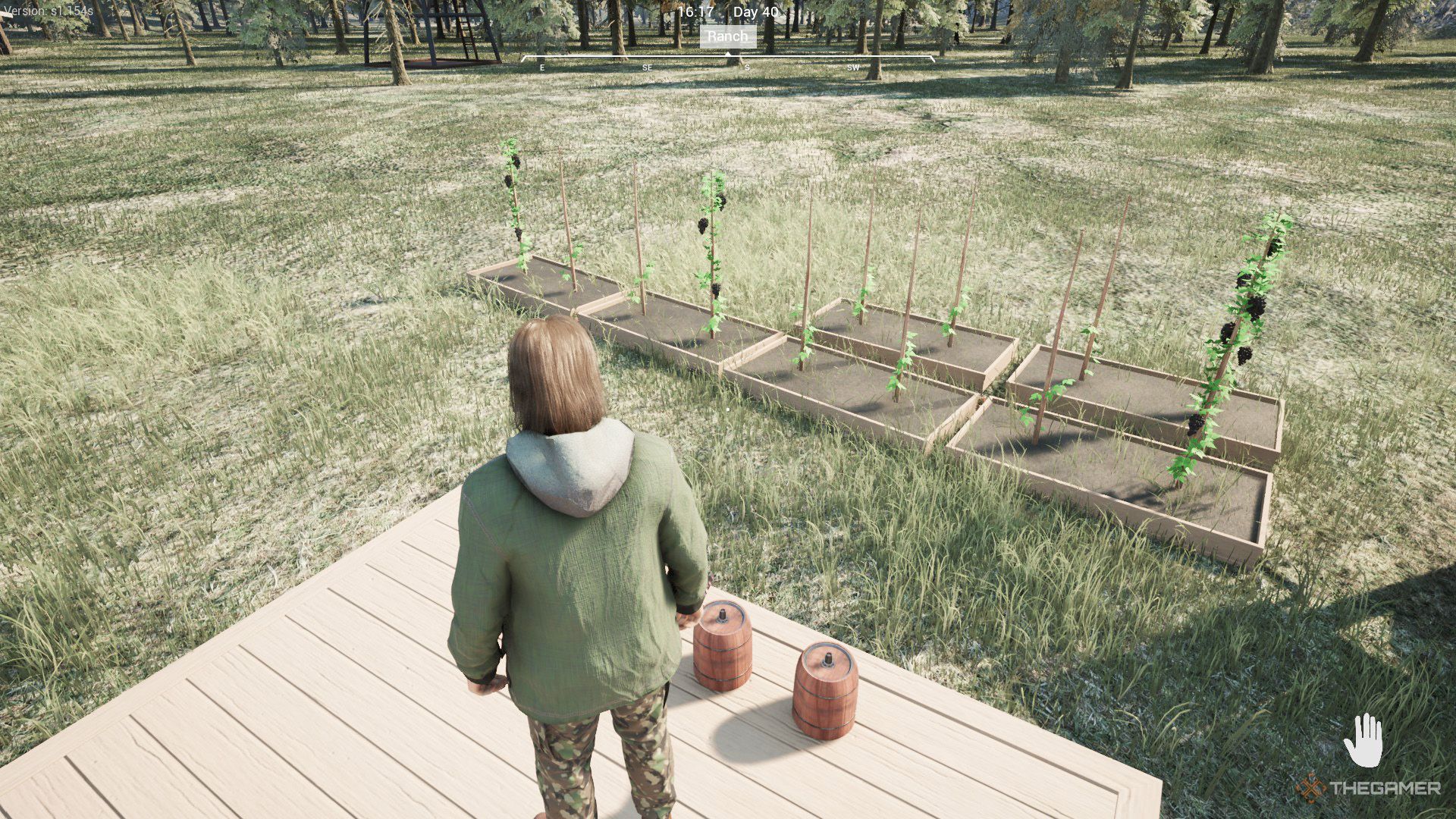 The player is looking at the grapes that grows on large crop plots in Ranch Simulator