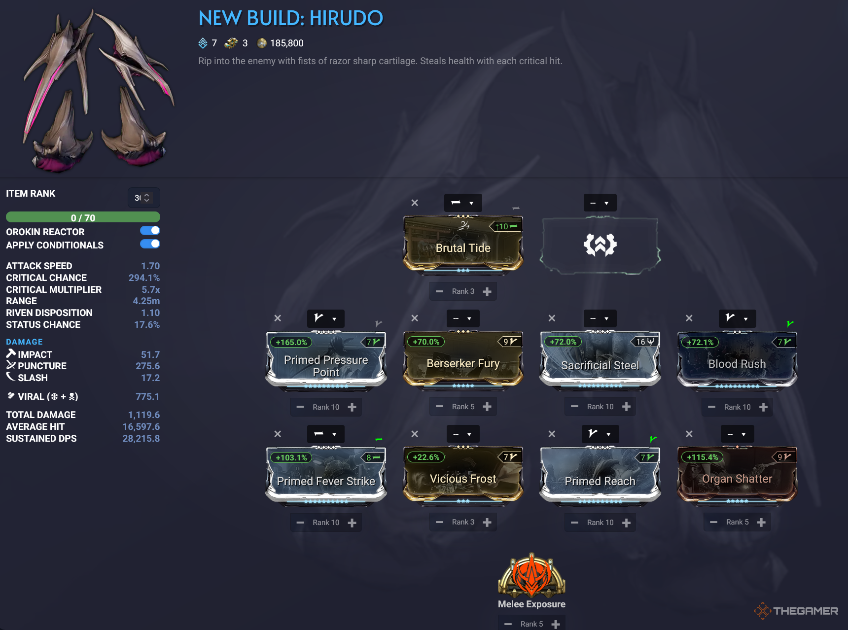 Warframe Hirudo Endgame Build