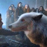 Game of Thrones Fans Baffled at George R.R Martin's Involvement in Creating Real-Life Dire Wolves