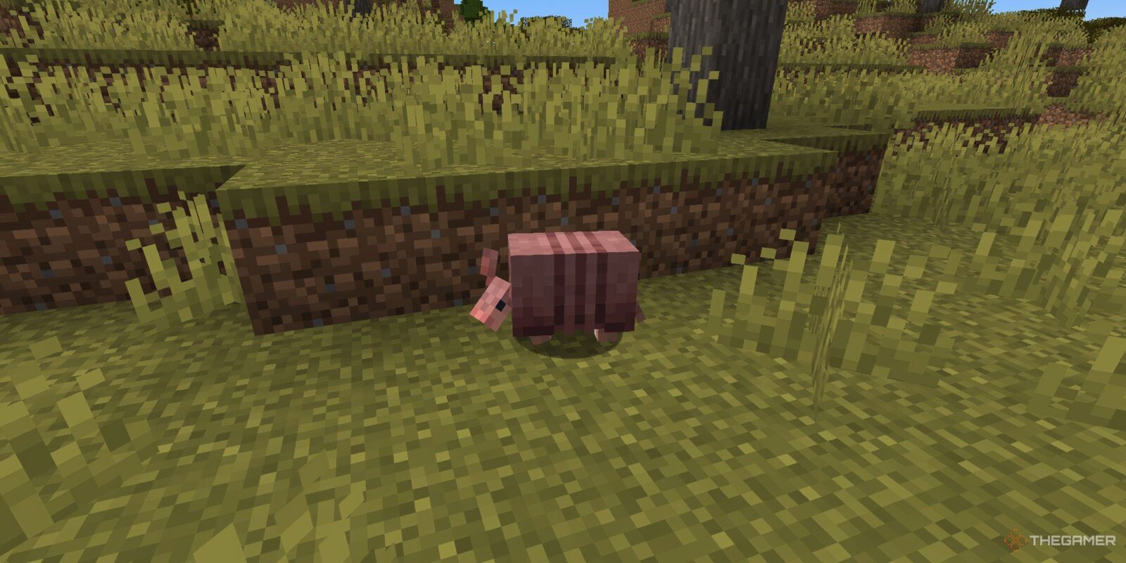 How To Feed Armadillos In Minecraft