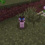How To Tame A Cat In Minecraft