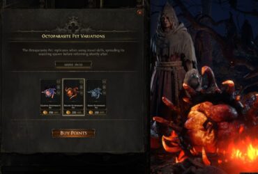 Path Of Exile 2: How To Get Pets