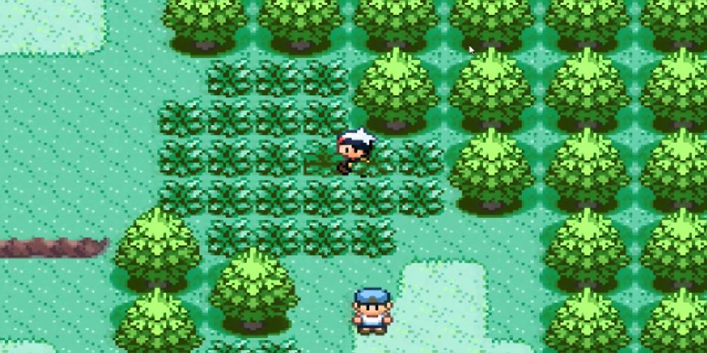 Pokemon Ruby And Sapphire trainer walks through the tall grass.