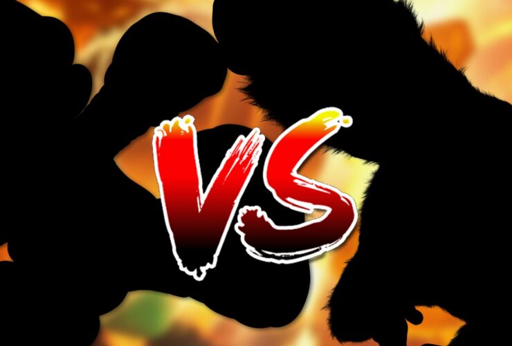 The Switch 2 is Fanning the Flames of a Classic Nintendo Rivalry