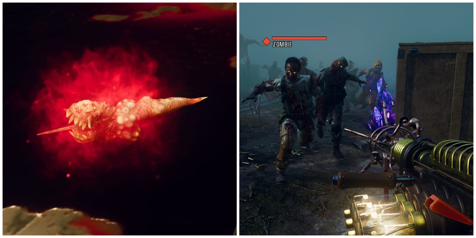 Vermin Fog Easter Egg Guide (BO6)