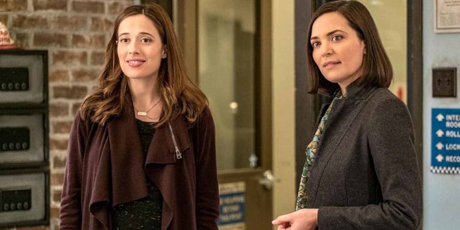 What Happened To Burgess's Sister In Chicago PD?