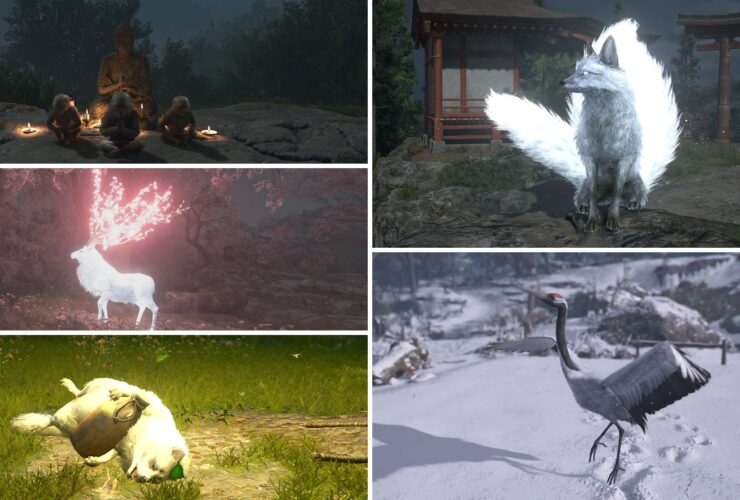 Where to Find All Legendary Animals in AC Shadows (Sumi-e Locations)