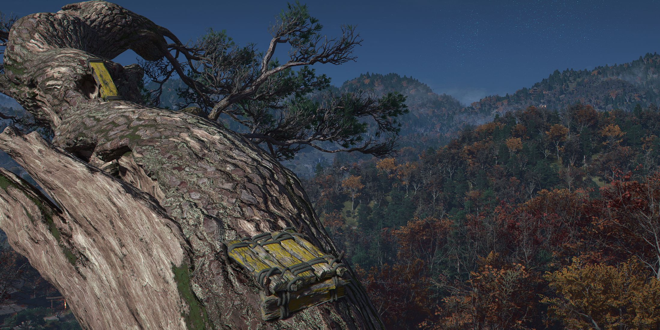 Assassin's Creed Shadows tree with yellow paint