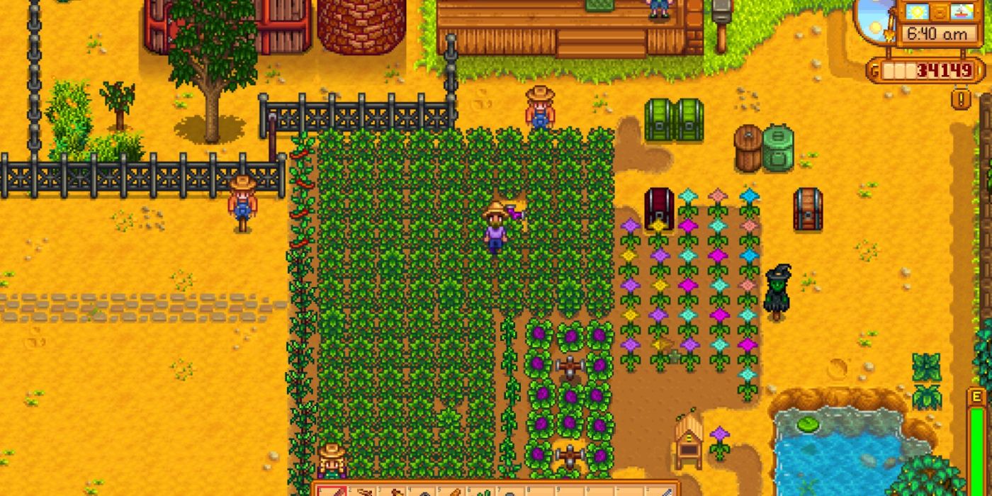 stardew coffee farm under house and next to pond