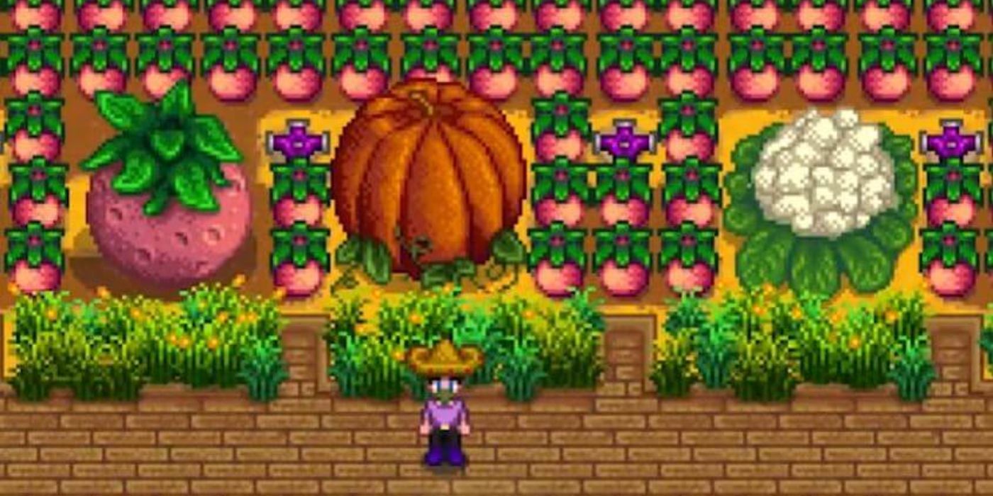 stardew melon farm with giant melon, pumpkin, and cauliflower in it