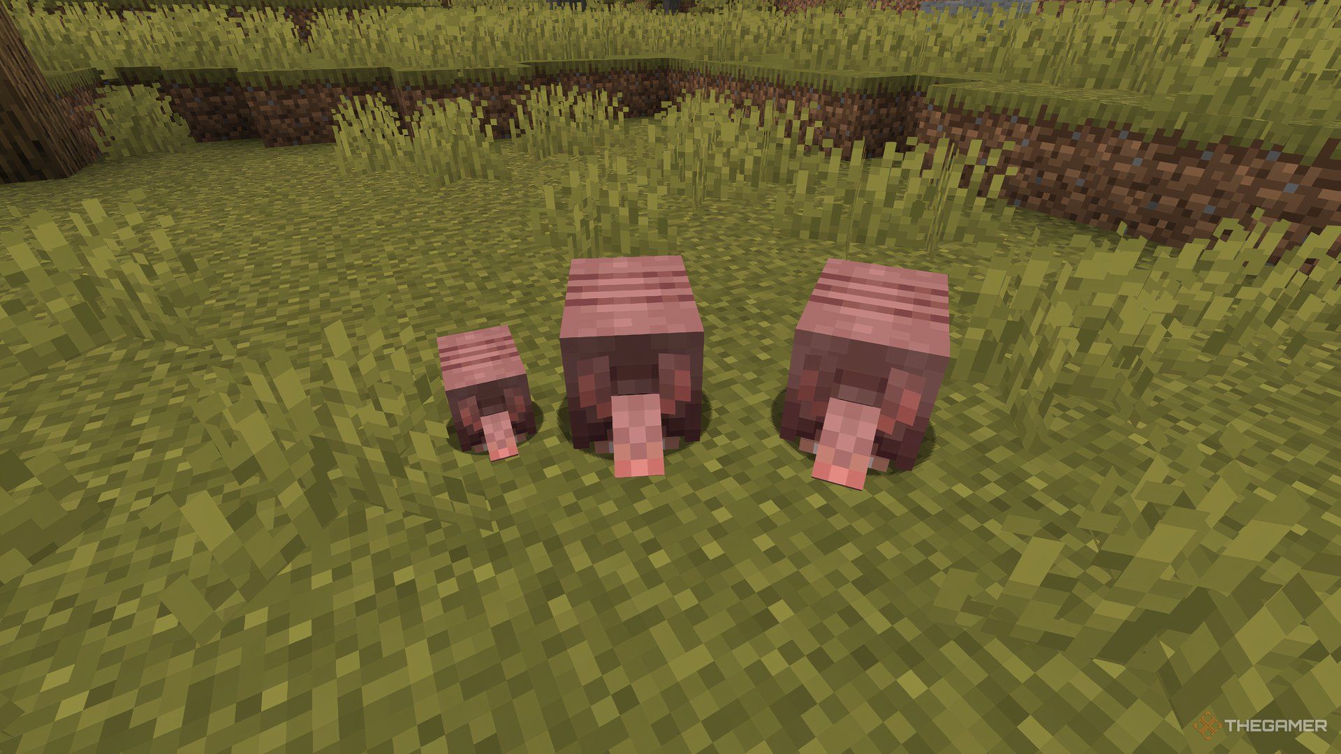 A family of Armadillos in Minecraft.