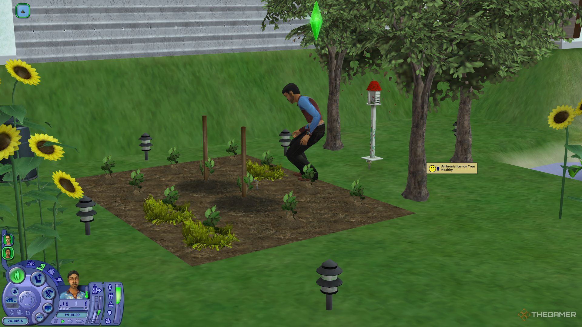 A Sim in The Sims 2 tending to a dirt patch full of fruit with a ladybug house behind him.