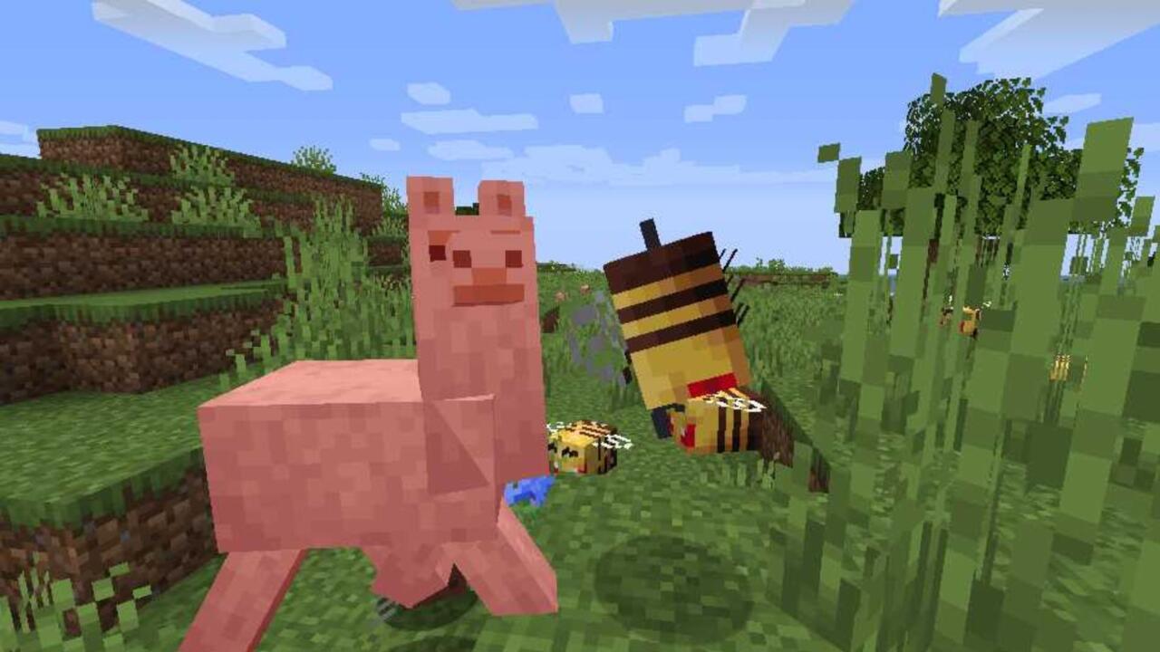 A llama gets attacked by bees