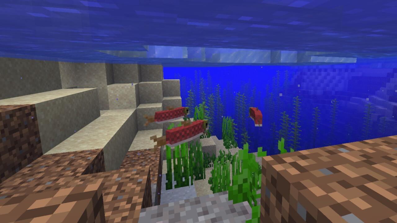 A small school of salmon