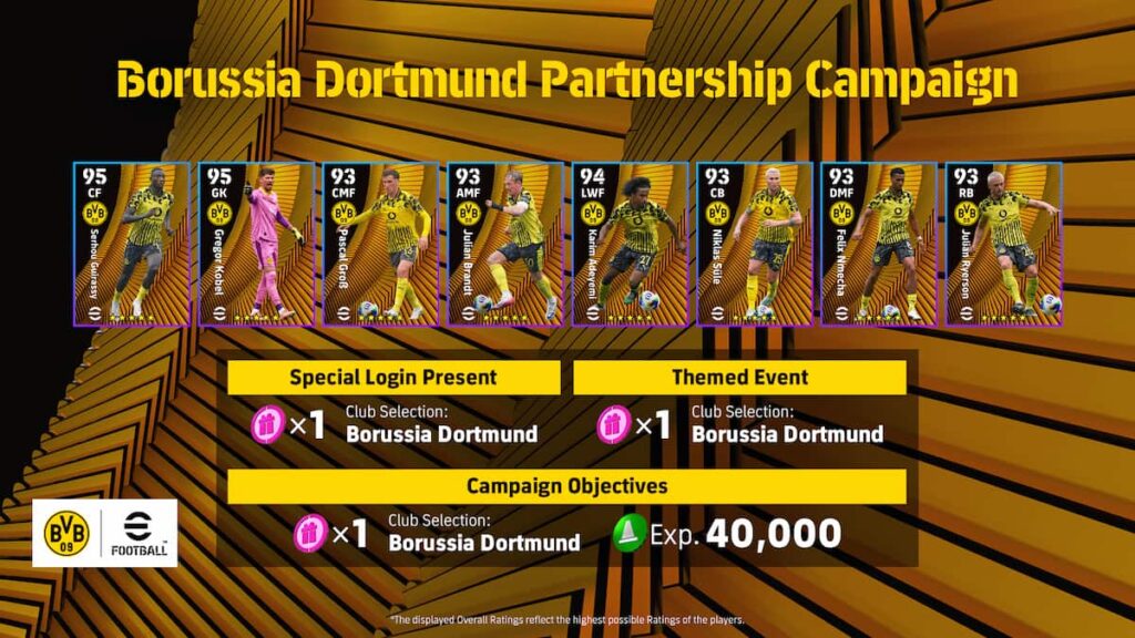 Borussia Dortmund Partnership Campaign