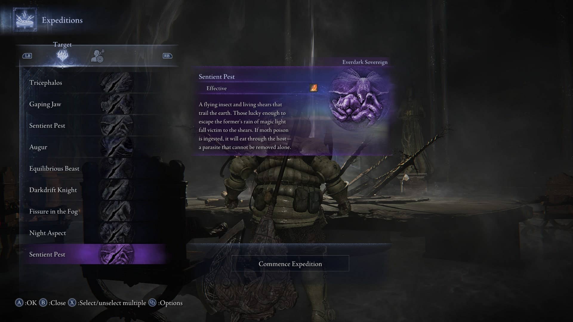 The player looks at the Everdark Sovereign Sentient Pest fight in the Expeditions menu  in Elden Ring Nightreign