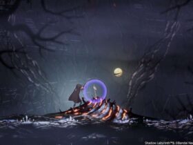 How To Get A Second HP Tank In Shadow Labyrinth