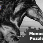 Magic Jigsaw Puzzles Monochrome Puzzle Packs Cover