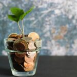 Plant pot filled with change