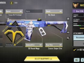 #build #grau_5.56Grau 5.56-1c204a8a9ampgrau ...