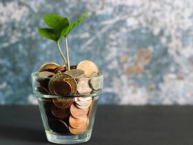 Plant growing out of a small flowerpot filled with coins