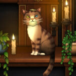 Strange Antiquities is a perfect sequel that sent my witchy heart aflutter