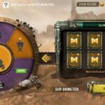 #The new newcomer should be around and ...