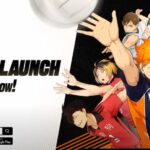 HAIKYU!! FLY HIGH game cover