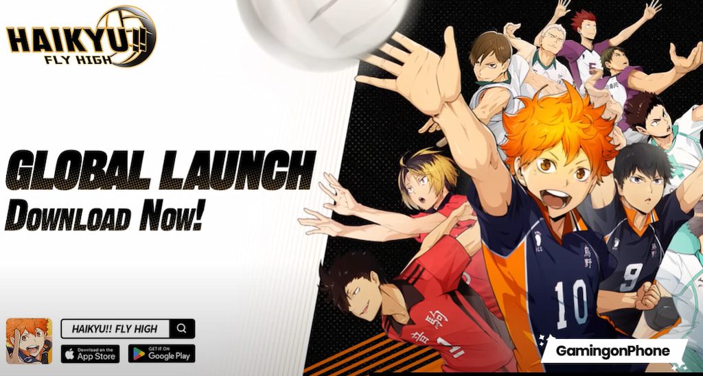 HAIKYU!! FLY HIGH game cover