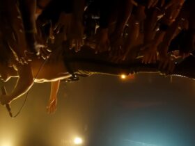 Lestat crowd surfing