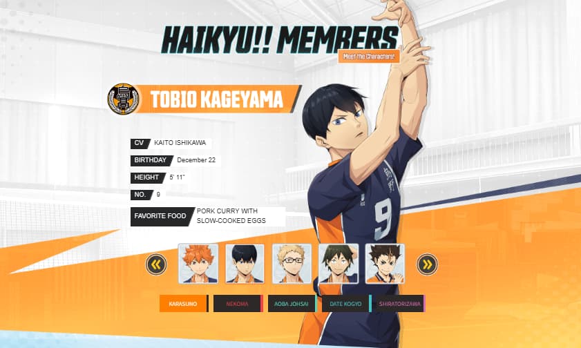 HAIKYU!! FLY HIGH Character Tobio Kageyama