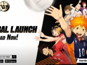 HAIKYU!! FLY HIGH game cover