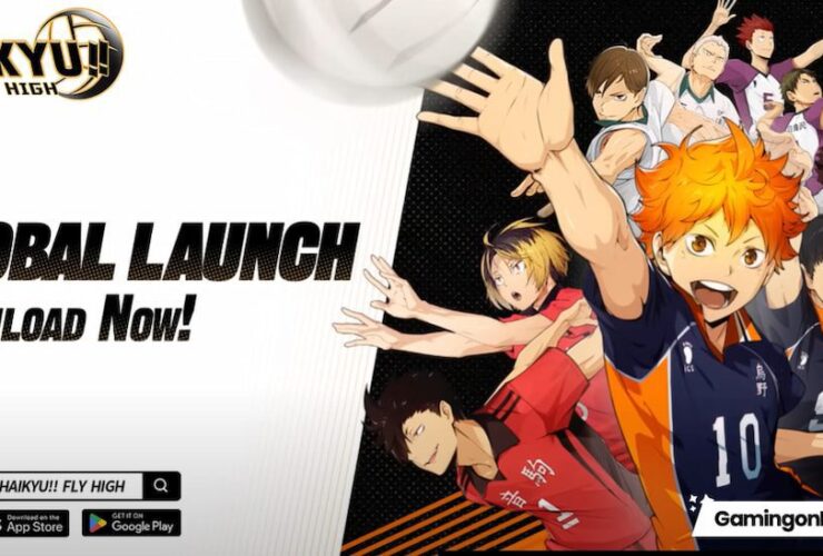 HAIKYU!! FLY HIGH game cover
