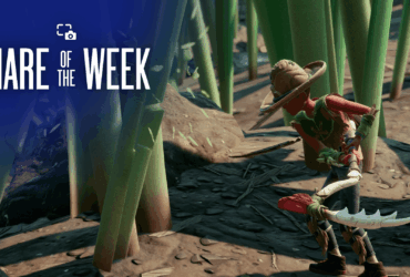 Share of the Week: Harvest