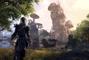 Elder Scrolls TV Series Is Possible, Says Todd Howard