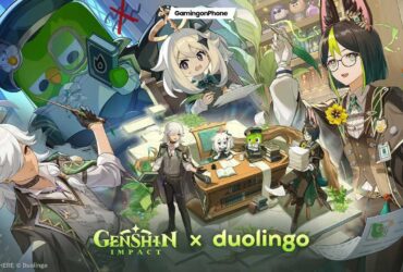 Genshin Impact x Duolingo Collab cover