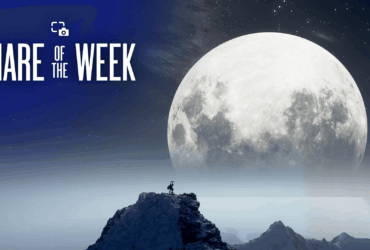 Share of the Week: Zoomed Out