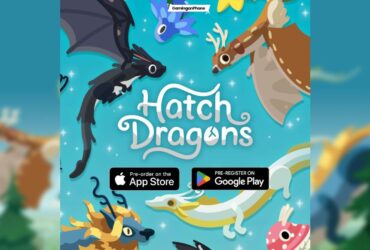 Hatch Dragons Pre-registration Cover