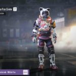 | #new_news White Fox crates in two forms, normal and...