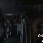 | #new_news The official trailer introducing the items...